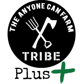 Tribe+